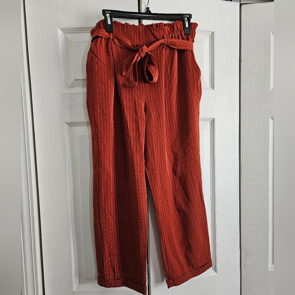 Sienna Sky burnt orange striped pants